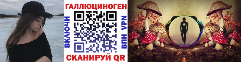 Купить  Макаров  Галлюциногенные грибы Psilocybe 