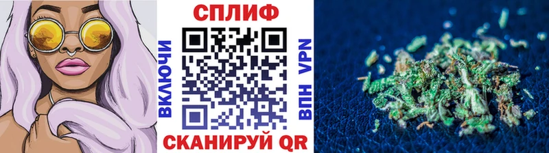 Конопля OG Kush  Купить где  Макаров 
